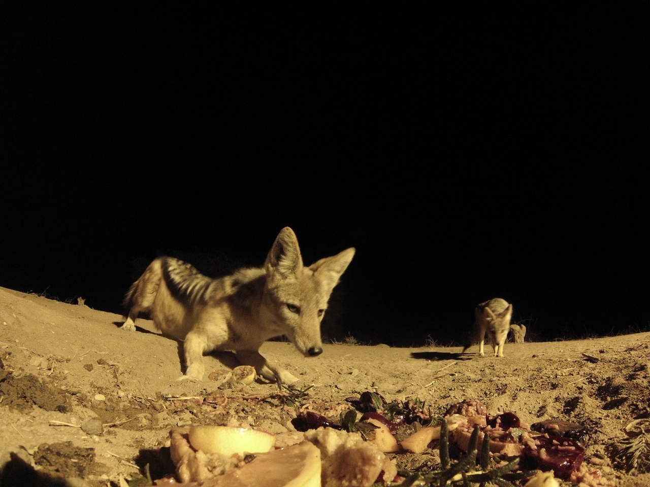 [4072] 2016_06_22_20_51_27_Africa_Hero3-Silver_Edition_IMG__00144.jpg