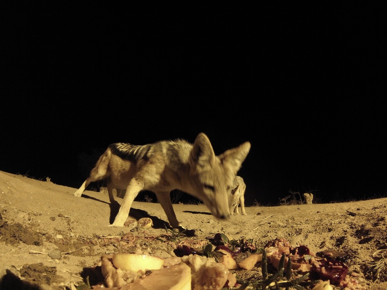 [4080] 2016_06_22_20_51_37_Africa_Hero3-Silver_Edition_IMG__00148.jpg