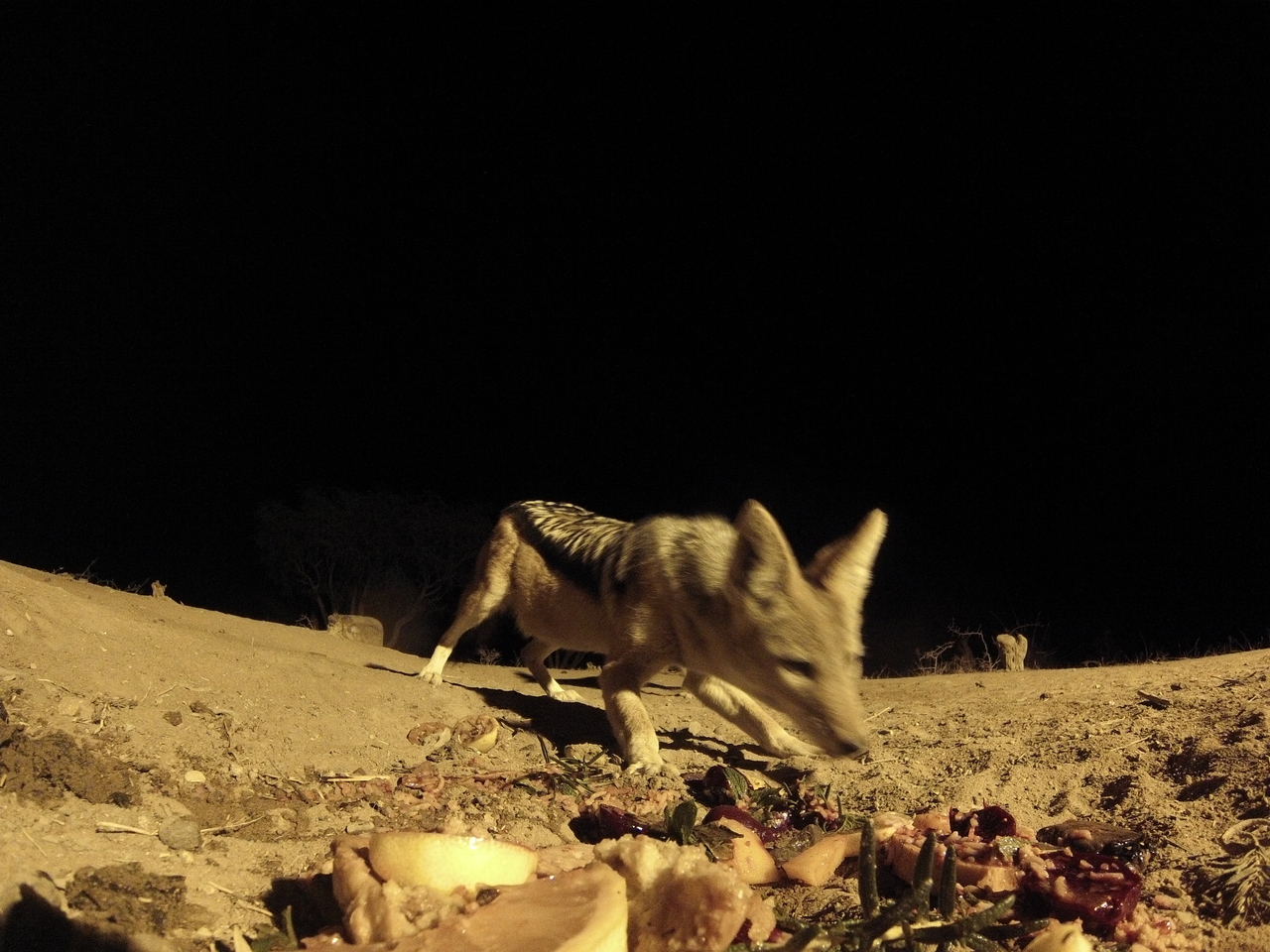 [4084] 2016_06_22_20_51_43_Africa_Hero3-Silver_Edition_IMG__00150.jpg