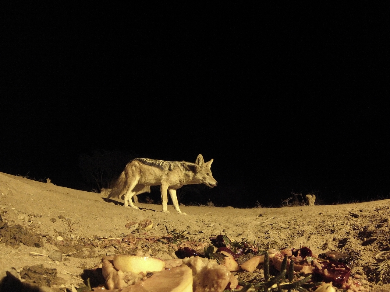 [4093] 2016_06_22_20_51_55_Africa_Hero3-Silver_Edition_IMG__00602.jpg