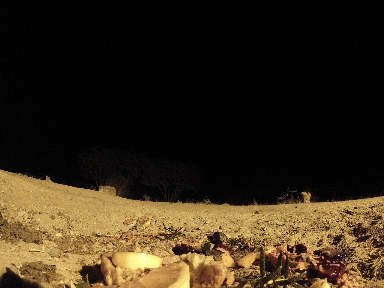 [4096] 2016_06_22_20_52_01_Africa_Hero3-Silver_Edition_IMG__00156.jpg