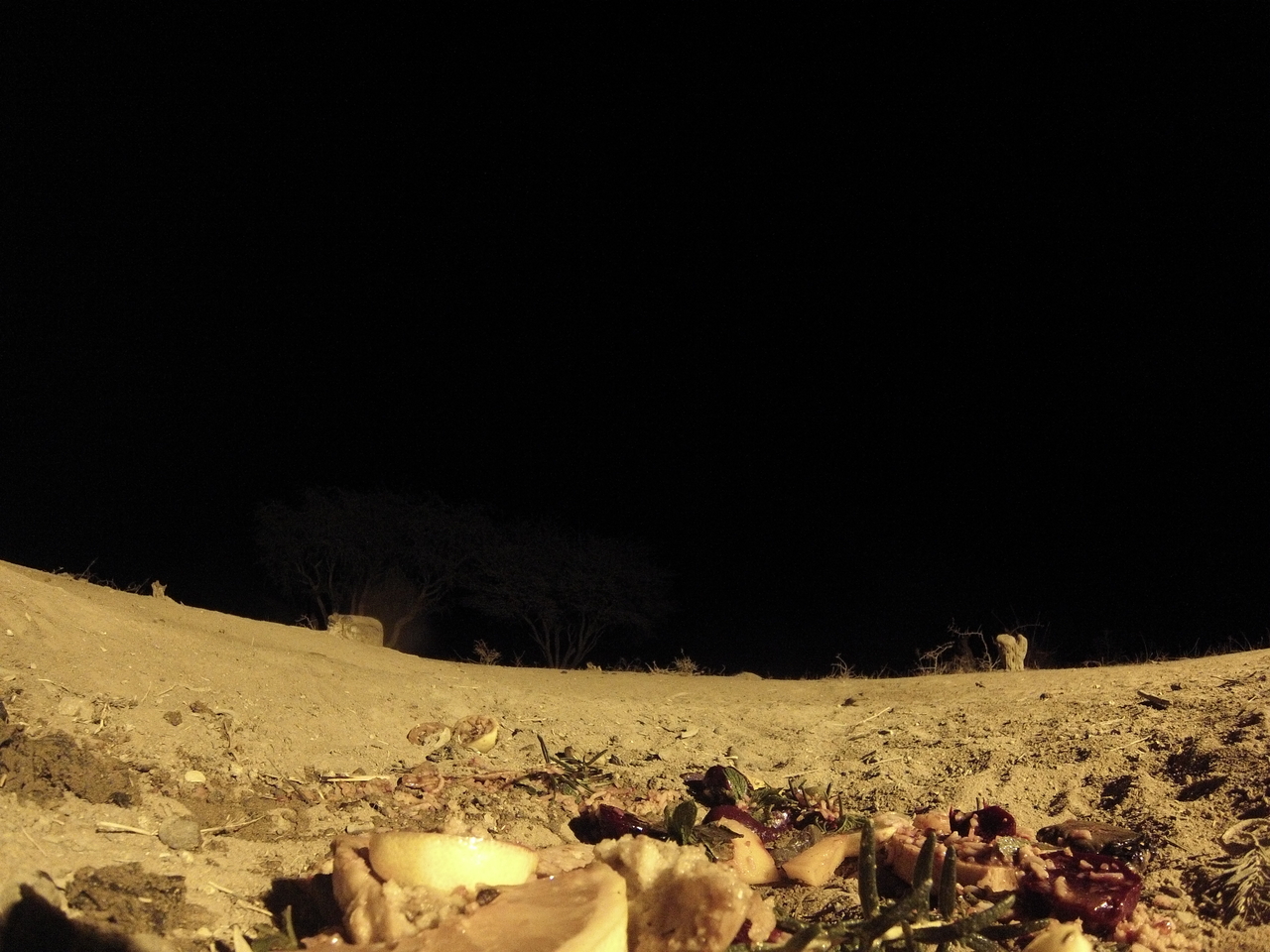 [4101] 2016_06_22_20_52_06_Africa_Hero3-Silver_Edition_IMG__00606.jpg