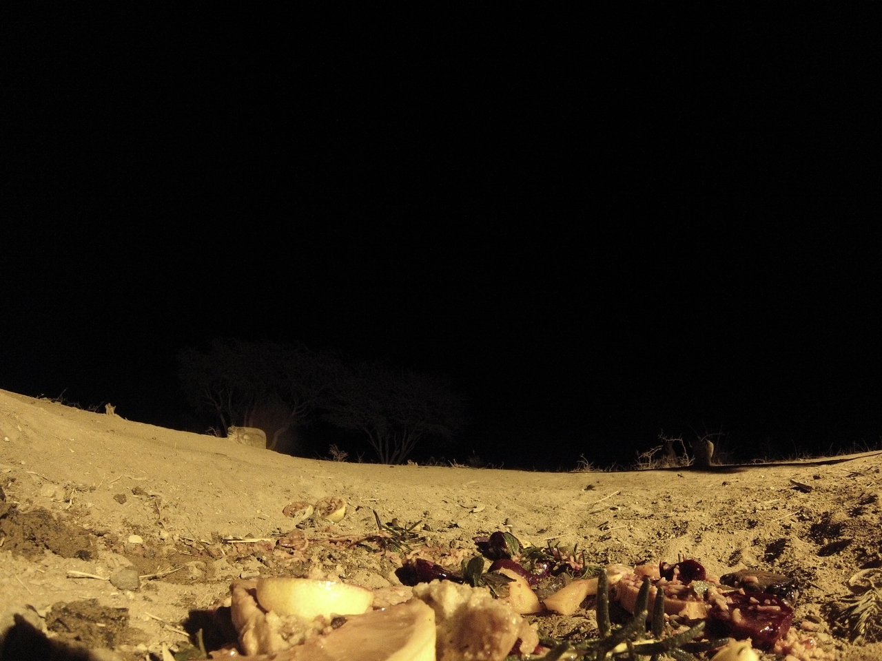 [4102] 2016_06_22_20_52_09_Africa_Hero3-Silver_Edition_IMG__00159.jpg