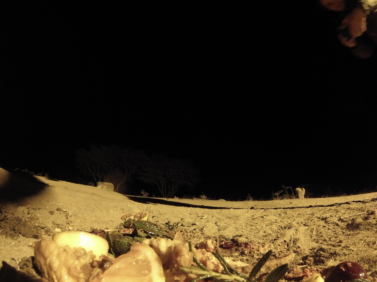 [4110] 2016_06_22_20_52_24_Africa_Hero3-Silver_Edition_IMG__00163.jpg