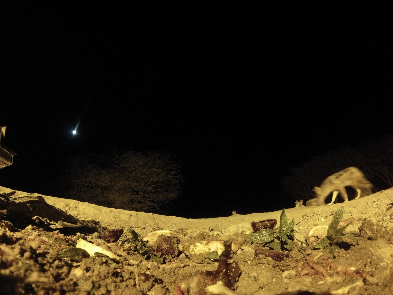 [4317] 2016_06_22_21_26_46_Africa_Hero3-Silver_Edition_IMG__00711.jpg