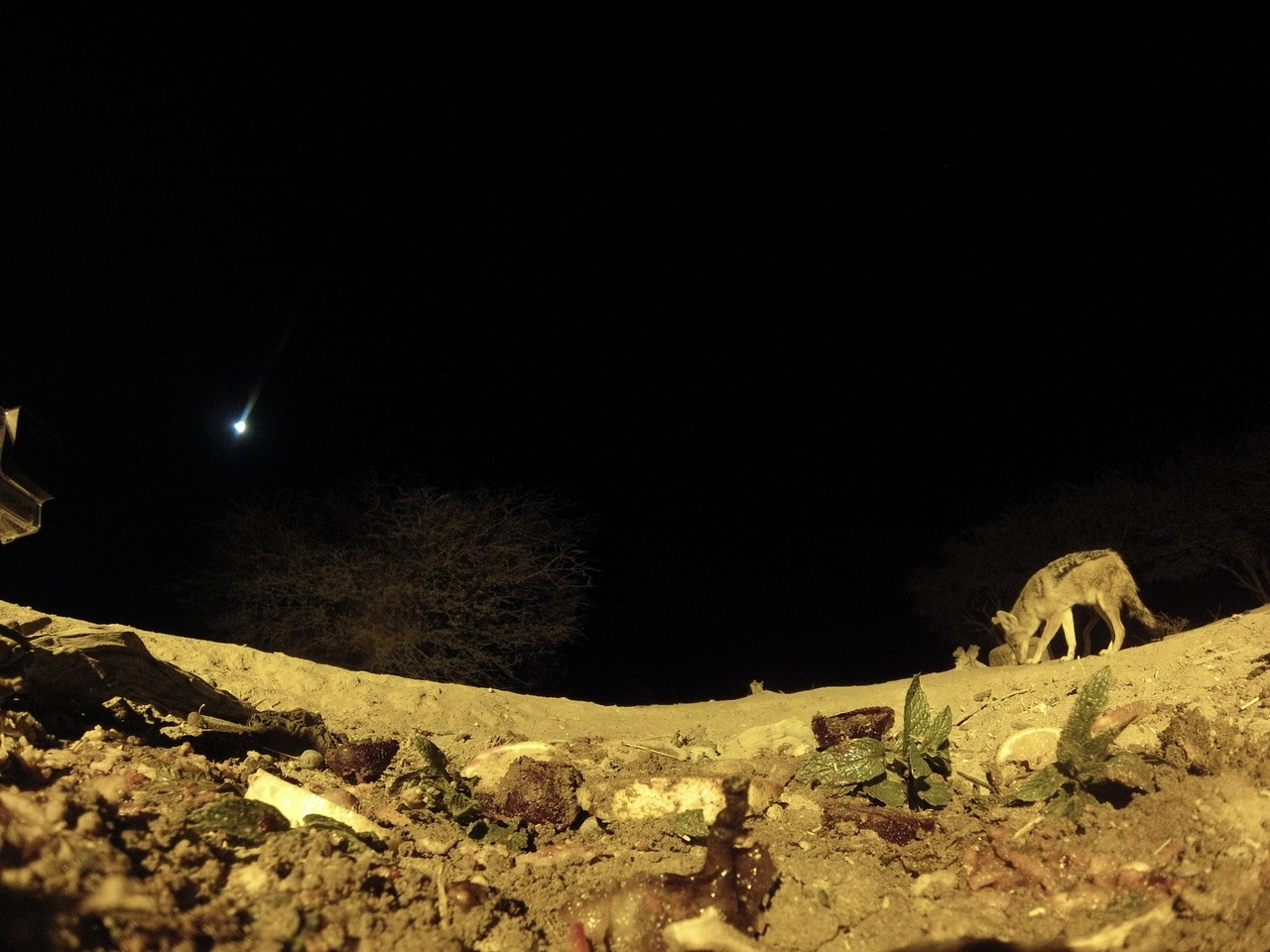 [4319] 2016_06_22_21_26_48_Africa_Hero3-Silver_Edition_IMG__00712.jpg