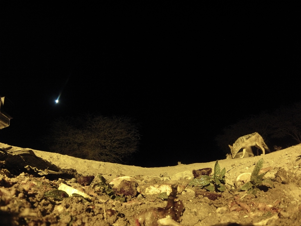 [4323] 2016_06_22_21_26_56_Africa_Hero3-Silver_Edition_IMG__00714.jpg