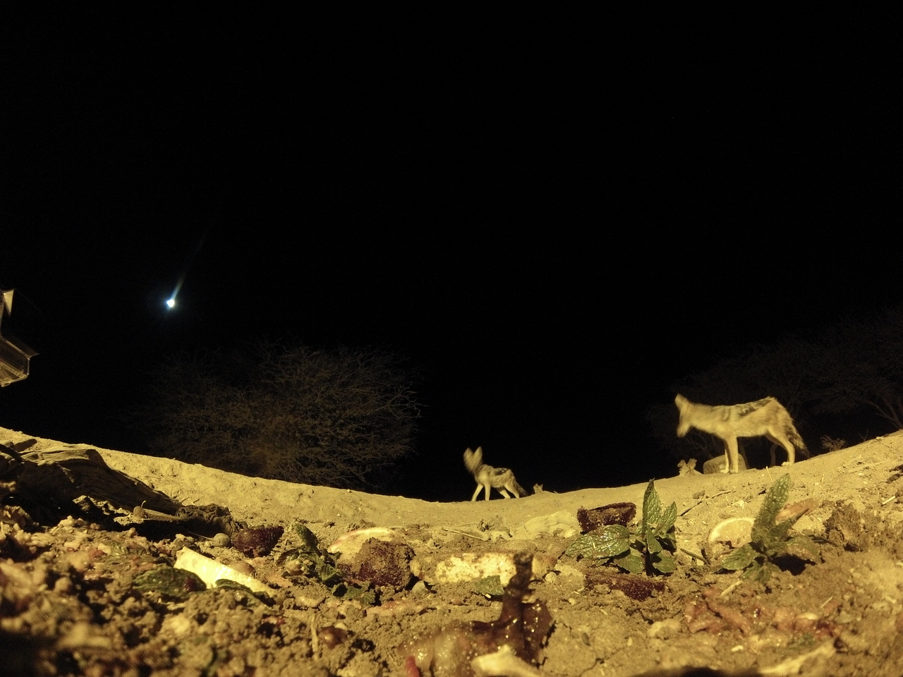 [4326] 2016_06_22_21_27_02_Africa_Hero3-Silver_Edition_IMG__00268.jpg