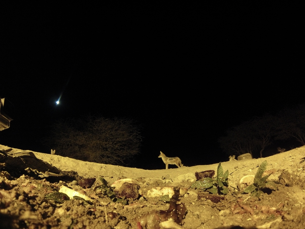 [4328] 2016_06_22_21_27_06_Africa_Hero3-Silver_Edition_IMG__00269.jpg