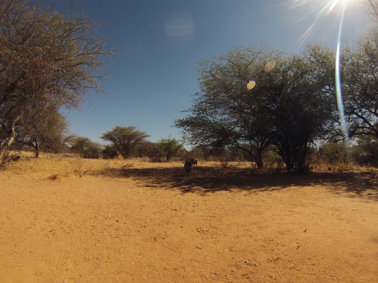 [8806] 2016_06_23_12_07_27_Africa_Hero3-Silver_Edition_IMG__00337.jpg