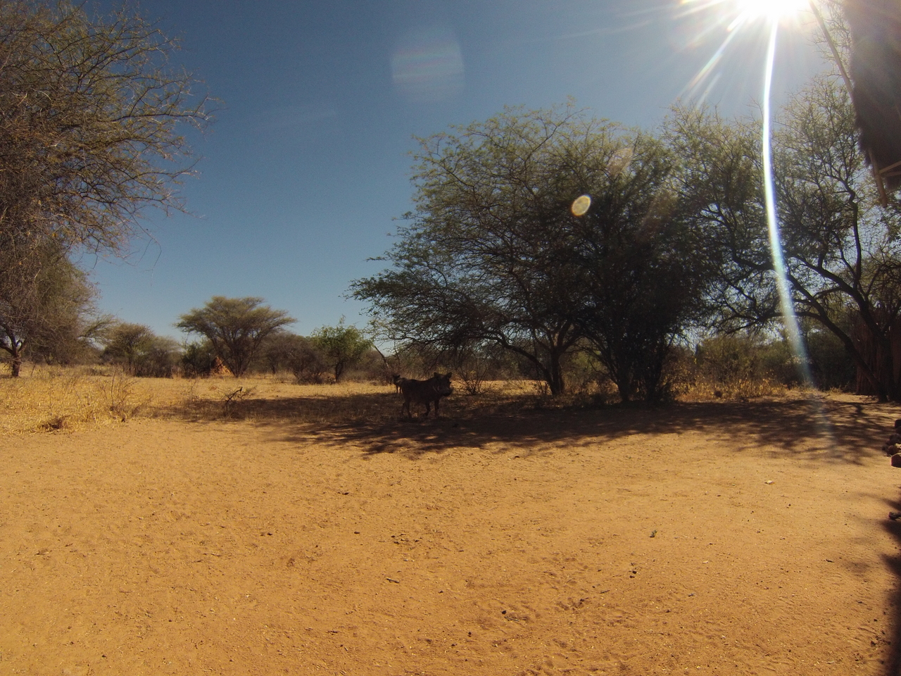 [8808] 2016_06_23_12_07_29_Africa_Hero3-Silver_Edition_IMG__00338.jpg