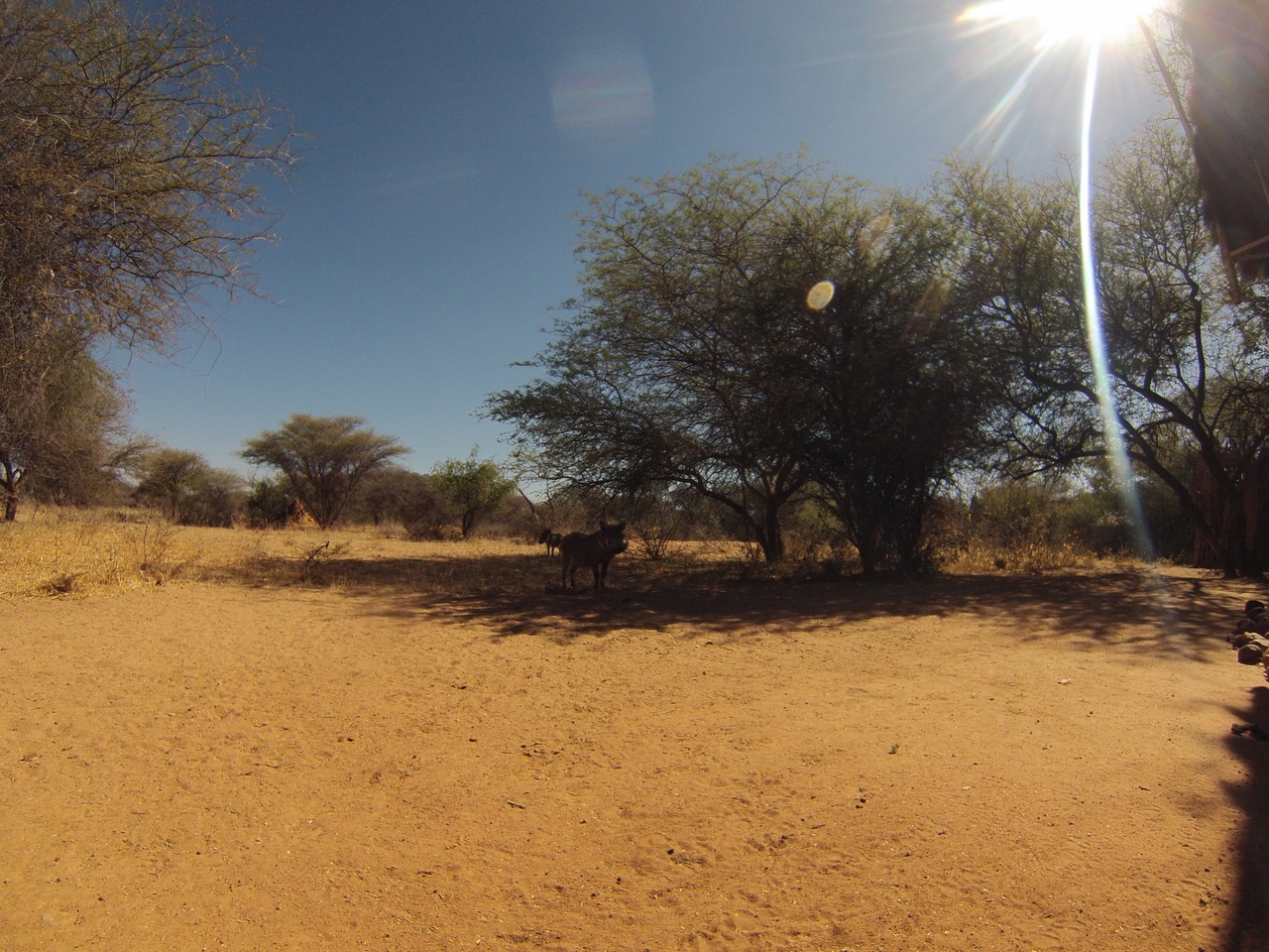 [8813] 2016_06_23_12_07_33_Africa_Hero3-Silver_Edition_IMG__00788.jpg