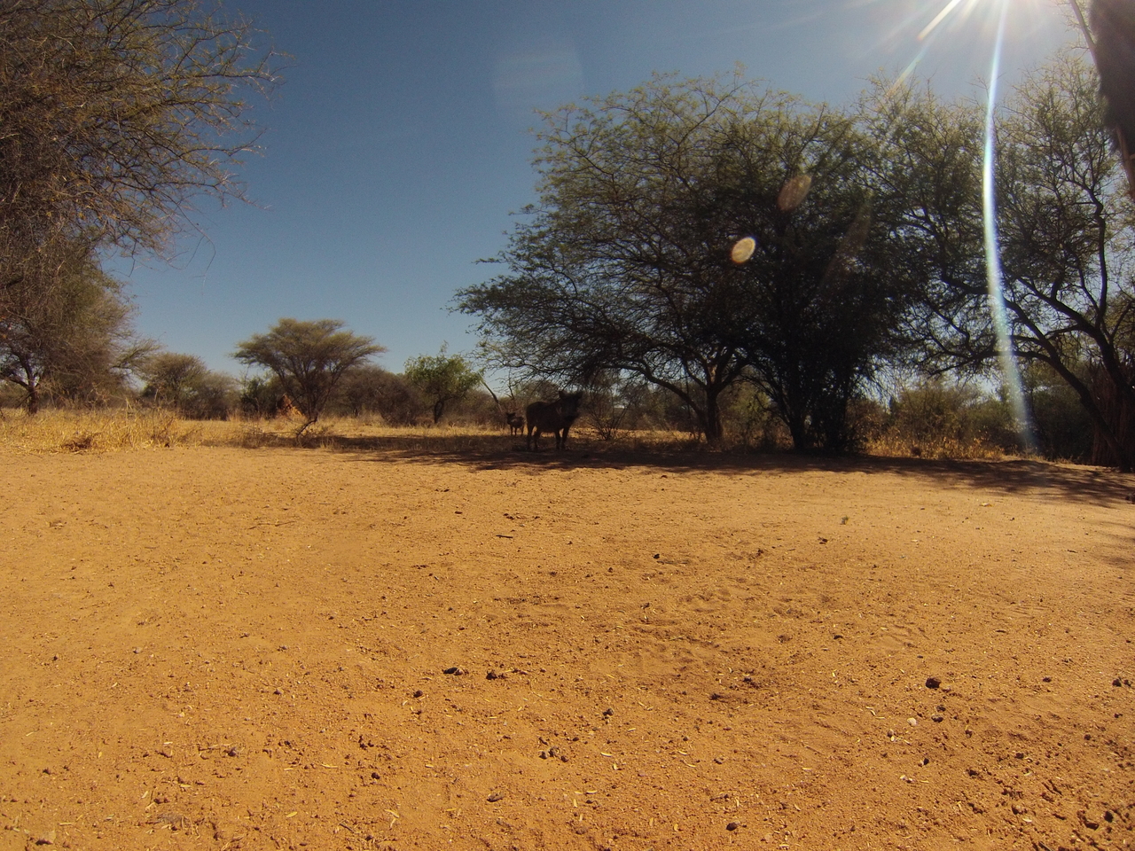 [8815] 2016_06_23_12_07_37_Africa_Hero3-Silver_Edition_IMG__00789.jpg