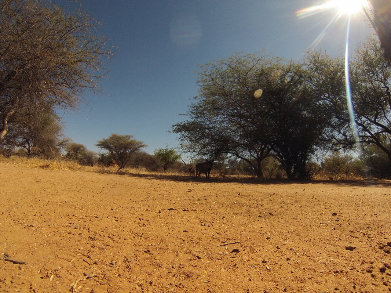 [8817] 2016_06_23_12_07_41_Africa_Hero3-Silver_Edition_IMG__00790.jpg