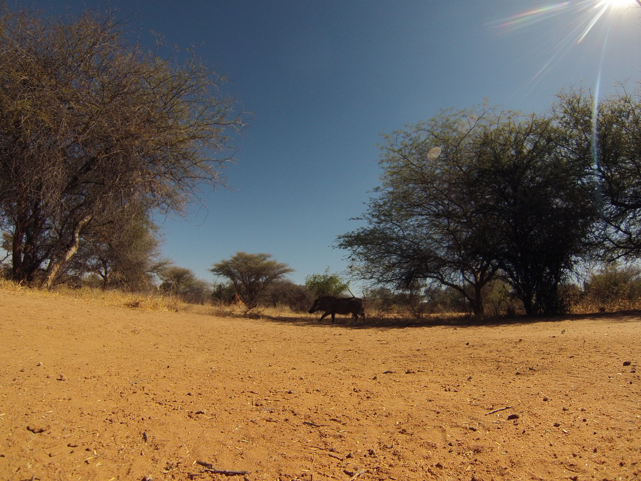 [8828] 2016_06_23_12_07_55_Africa_Hero3-Silver_Edition_IMG__00348.jpg