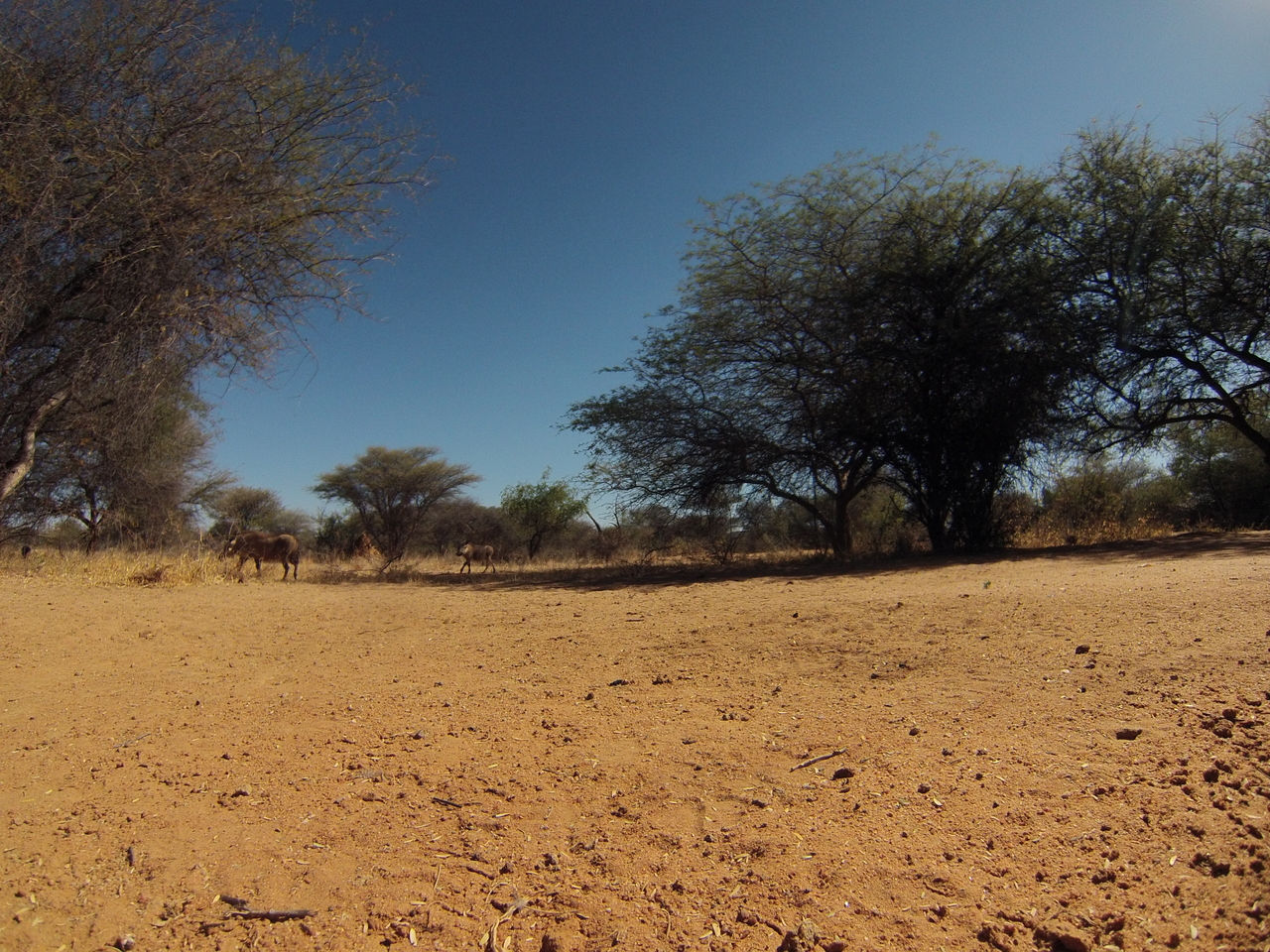 [8834] 2016_06_23_12_07_59_Africa_Hero3-Silver_Edition_IMG__00350.jpg