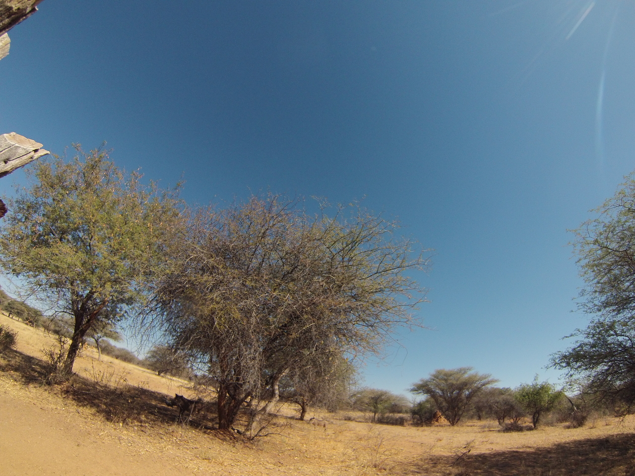 [8840] 2016_06_23_12_08_09_Africa_Hero3-Silver_Edition_IMG__00353.jpg