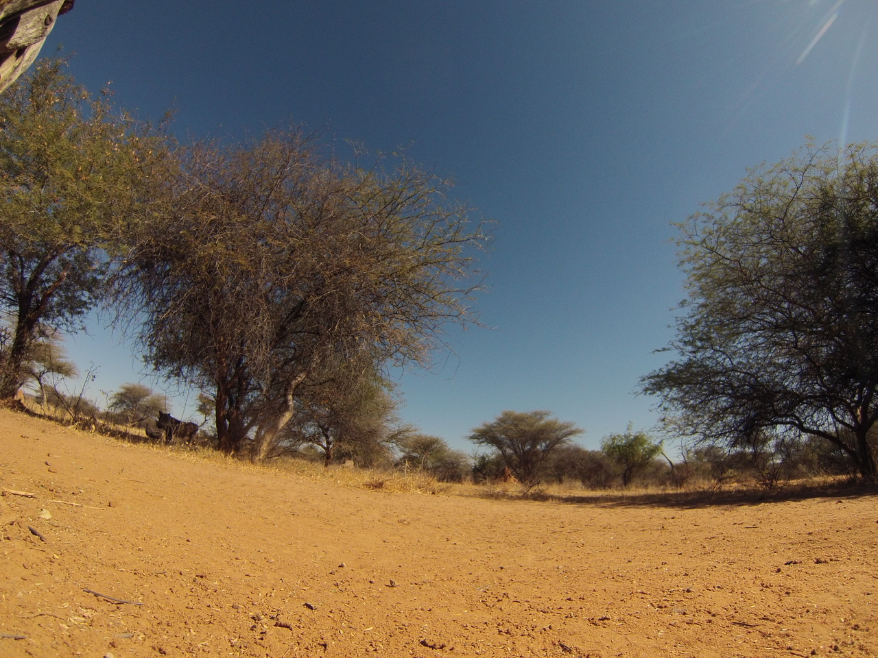 [8842] 2016_06_23_12_08_11_Africa_Hero3-Silver_Edition_IMG__00354.jpg