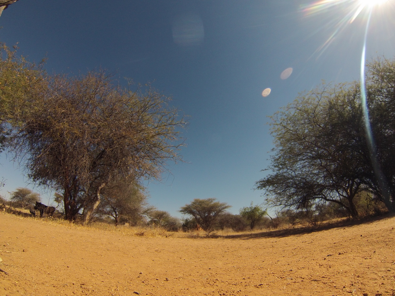 [8845] 2016_06_23_12_08_15_Africa_Hero3-Silver_Edition_IMG__00803.jpg