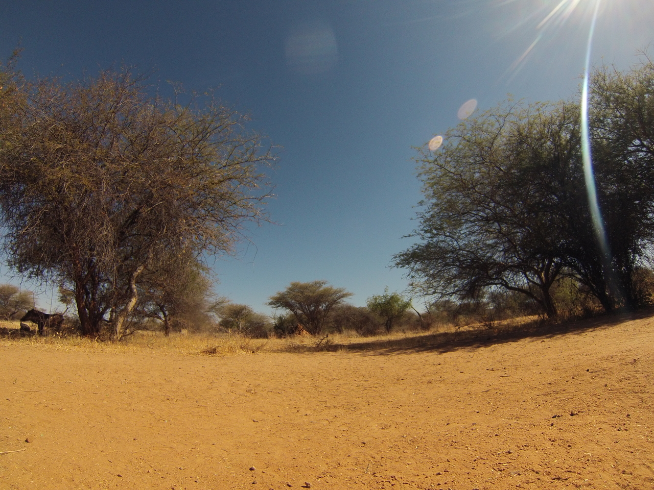 [8848] 2016_06_23_12_08_19_Africa_Hero3-Silver_Edition_IMG__00357.jpg