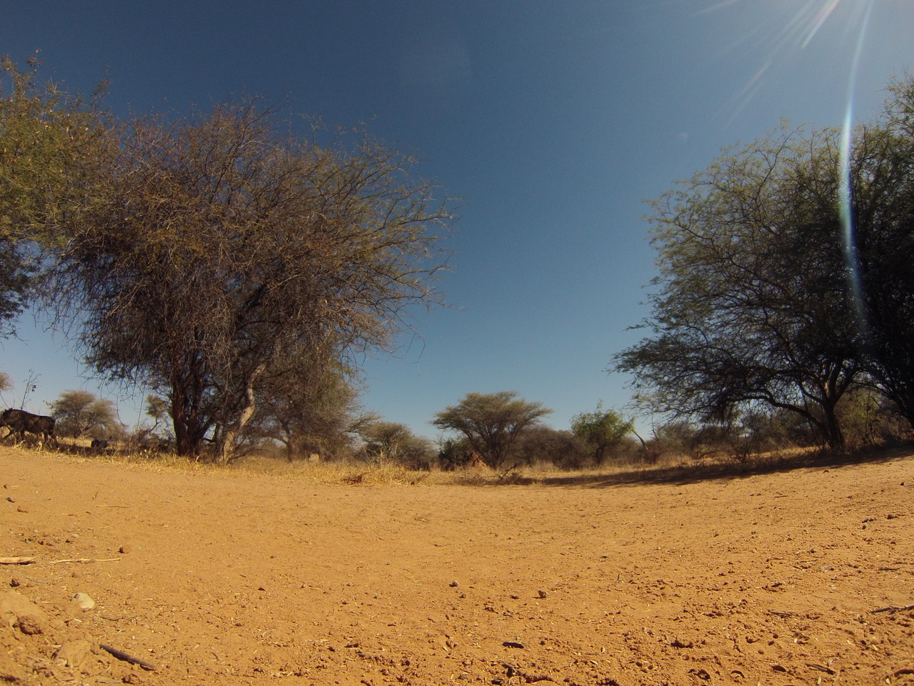 [8850] 2016_06_23_12_08_23_Africa_Hero3-Silver_Edition_IMG__00358.jpg