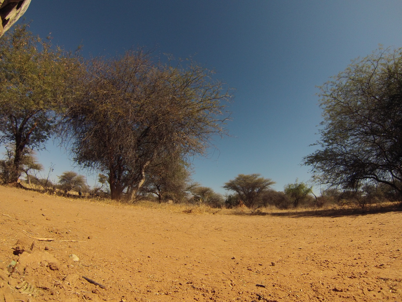 [8868] 2016_06_23_12_08_47_Africa_Hero3-Silver_Edition_IMG__00367.jpg