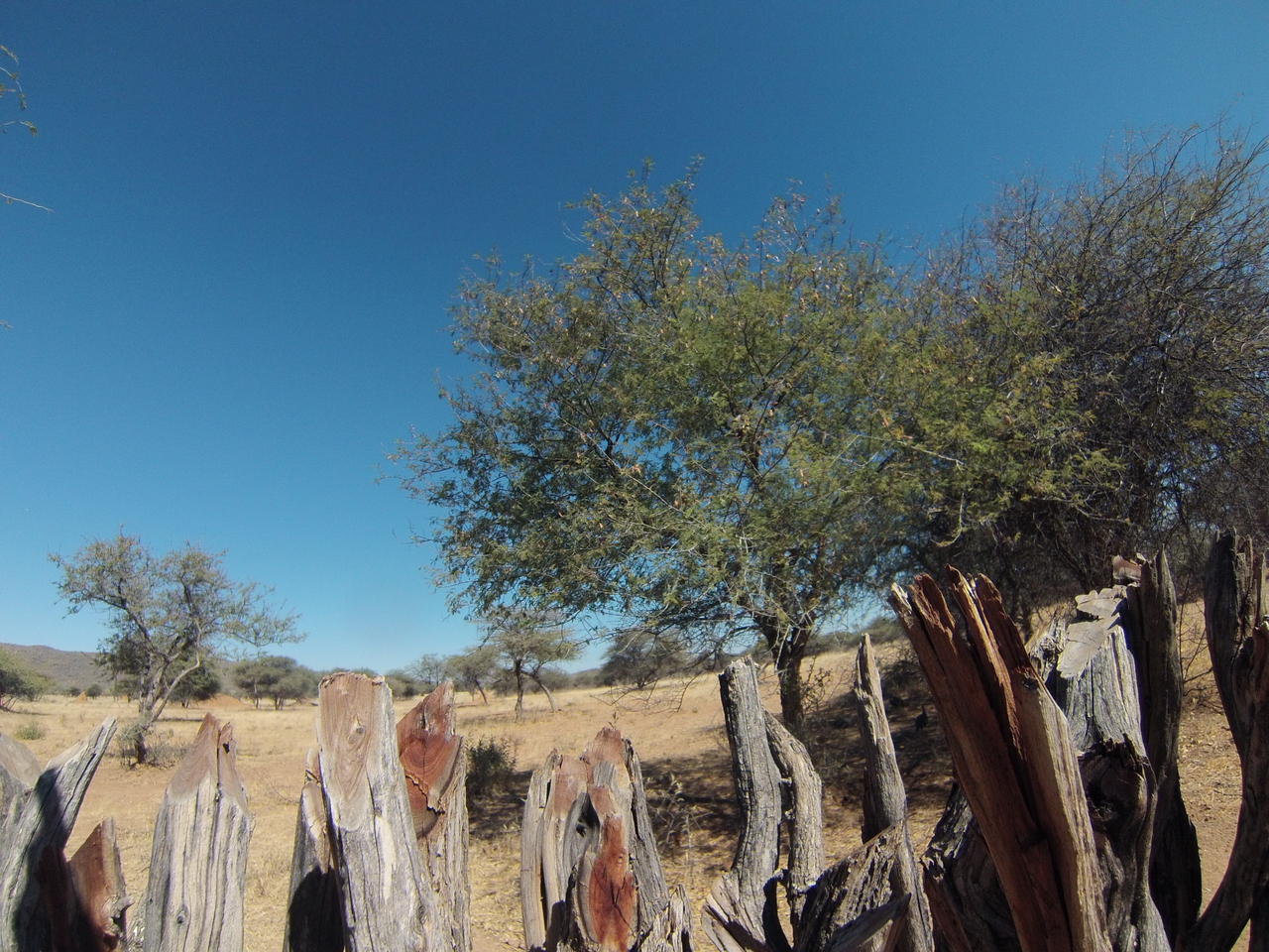 [8872] 2016_06_23_12_08_59_Africa_Hero3-Silver_Edition_IMG__00369.jpg