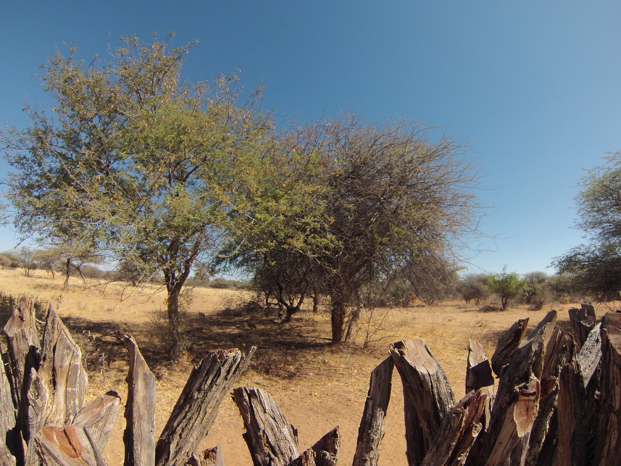 [8879] 2016_06_23_12_09_08_Africa_Hero3-Silver_Edition_IMG__00820.jpg