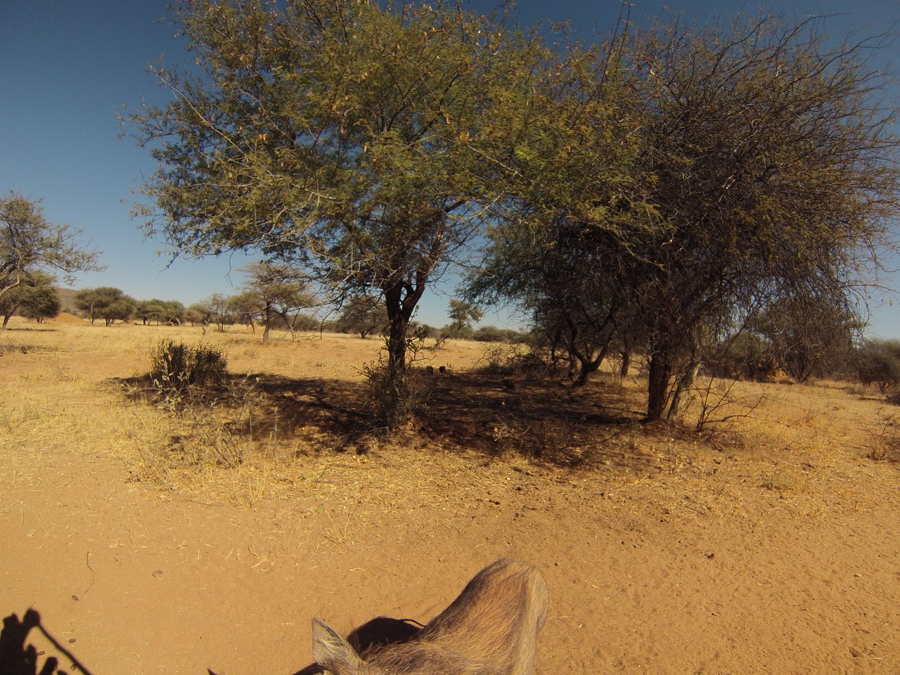 [8881] 2016_06_23_12_09_10_Africa_Hero3-Silver_Edition_IMG__00821.jpg