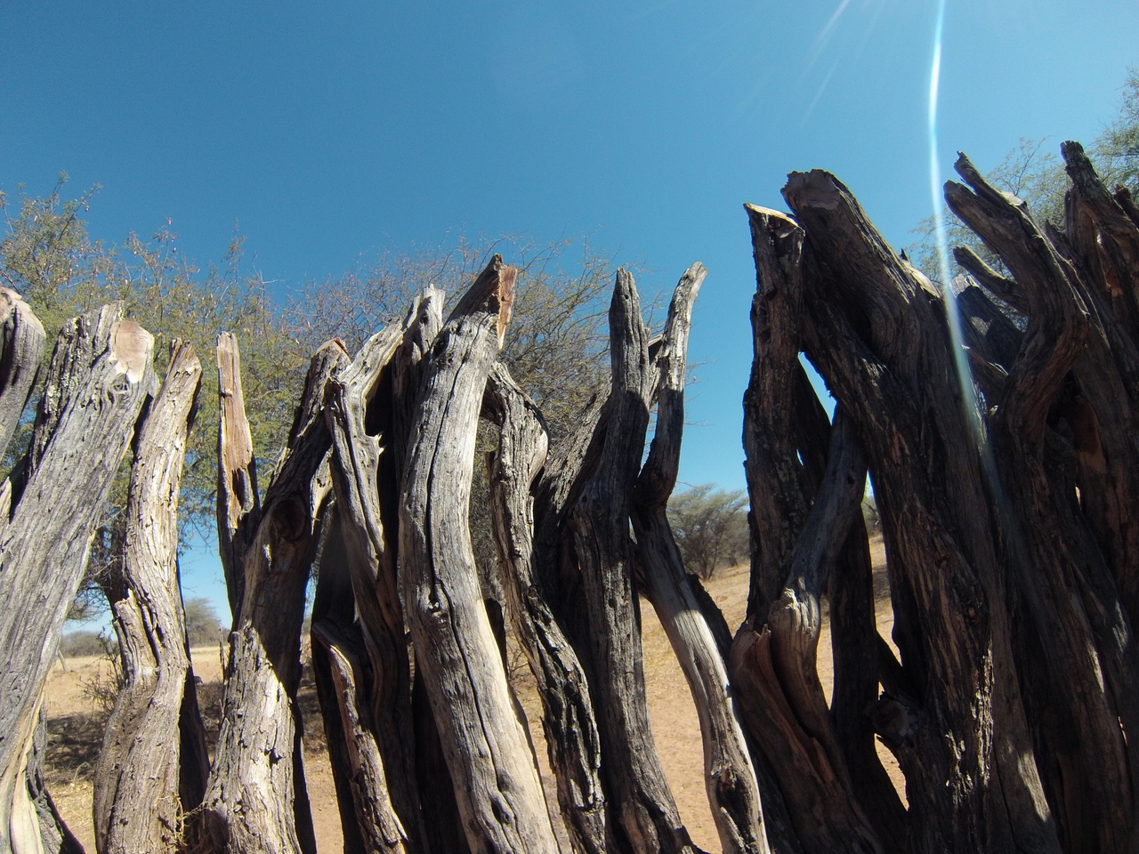 [8890] 2016_06_23_12_09_28_Africa_Hero3-Silver_Edition_IMG__00378.jpg