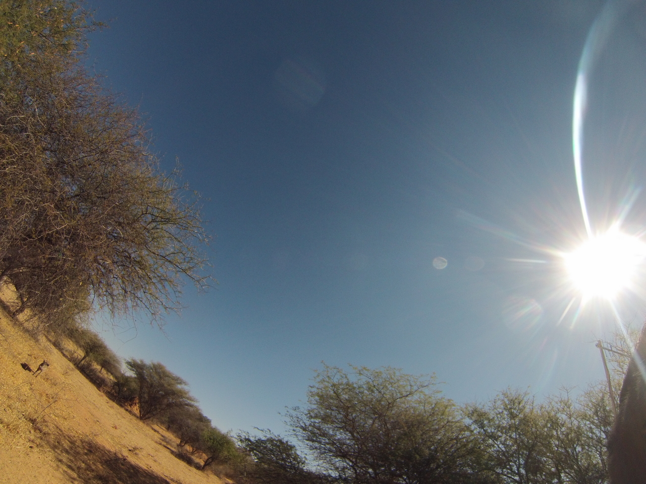 [8901] 2016_06_23_12_09_42_Africa_Hero3-Silver_Edition_IMG__00831.jpg