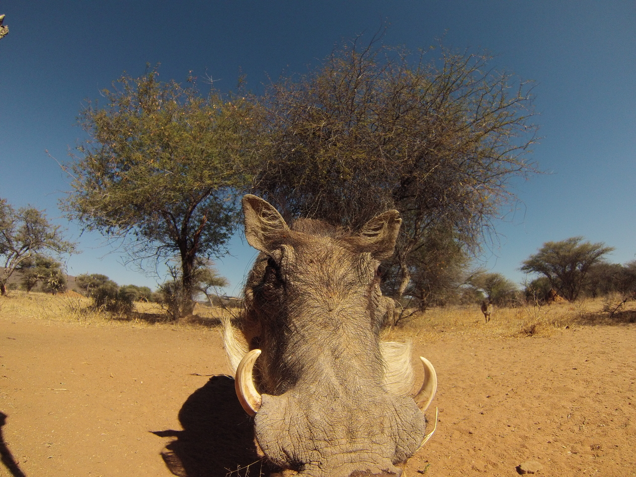 [8908] 2016_06_23_12_09_50_Africa_Hero3-Silver_Edition_IMG__00386.jpg