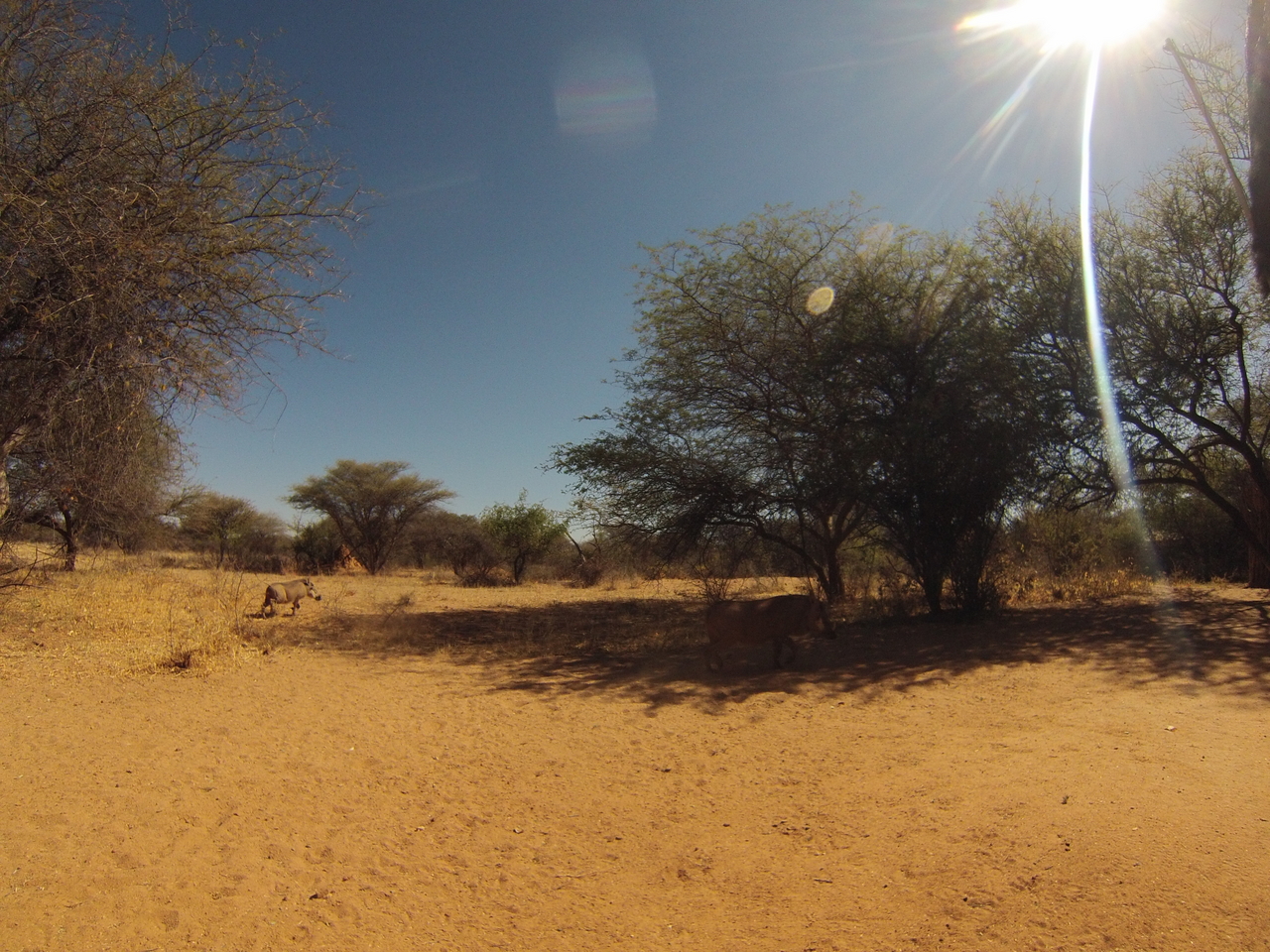 [8910] 2016_06_23_12_09_54_Africa_Hero3-Silver_Edition_IMG__00387.jpg