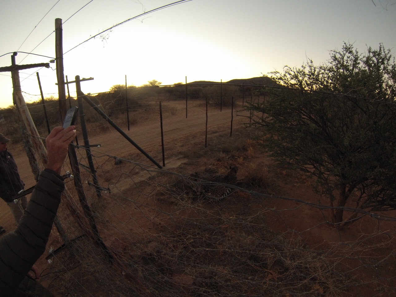 [9518] 2016_06_23_17_26_20_Africa_Hero3-Silver_Edition_IMG__00847.jpg