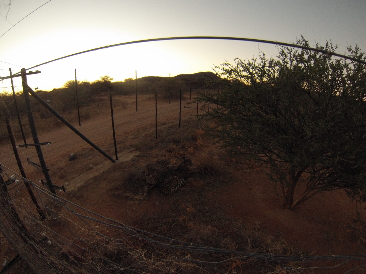 [9525] 2016_06_23_17_26_28_Africa_Hero3-Silver_Edition_IMG__00403.jpg