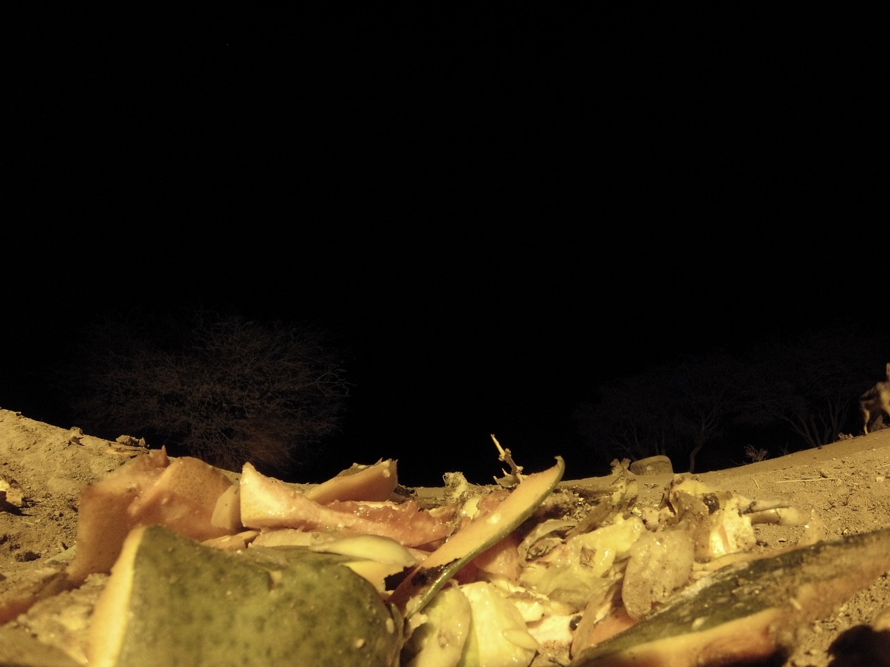 [9671] 2016_06_23_18_42_22_Africa_Hero3-Silver_Edition_IMG__00875.jpg