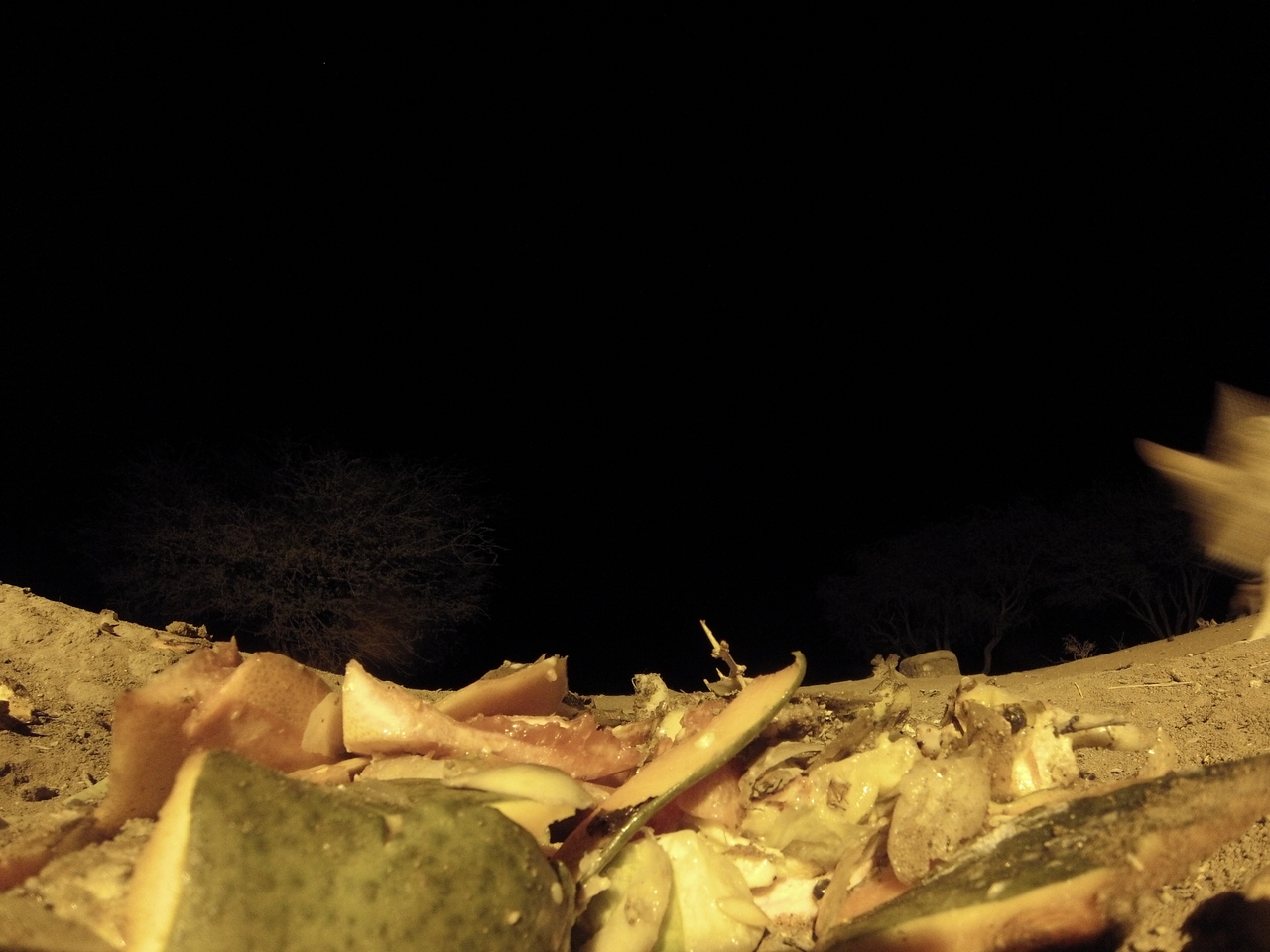 [9672] 2016_06_23_18_42_26_Africa_Hero3-Silver_Edition_IMG__00428.jpg