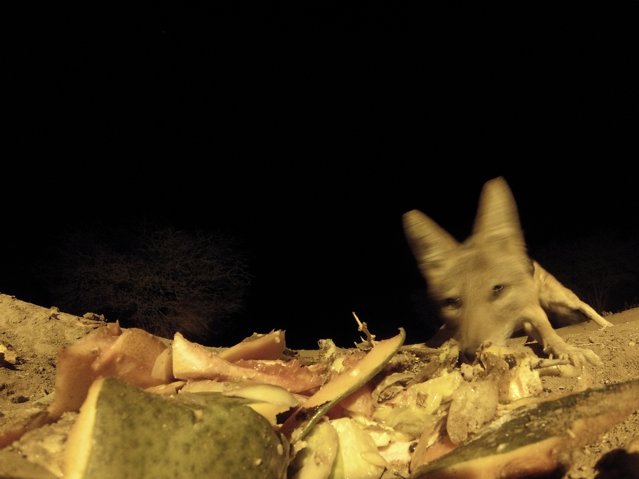 [9674] 2016_06_23_18_42_28_Africa_Hero3-Silver_Edition_IMG__00429.jpg