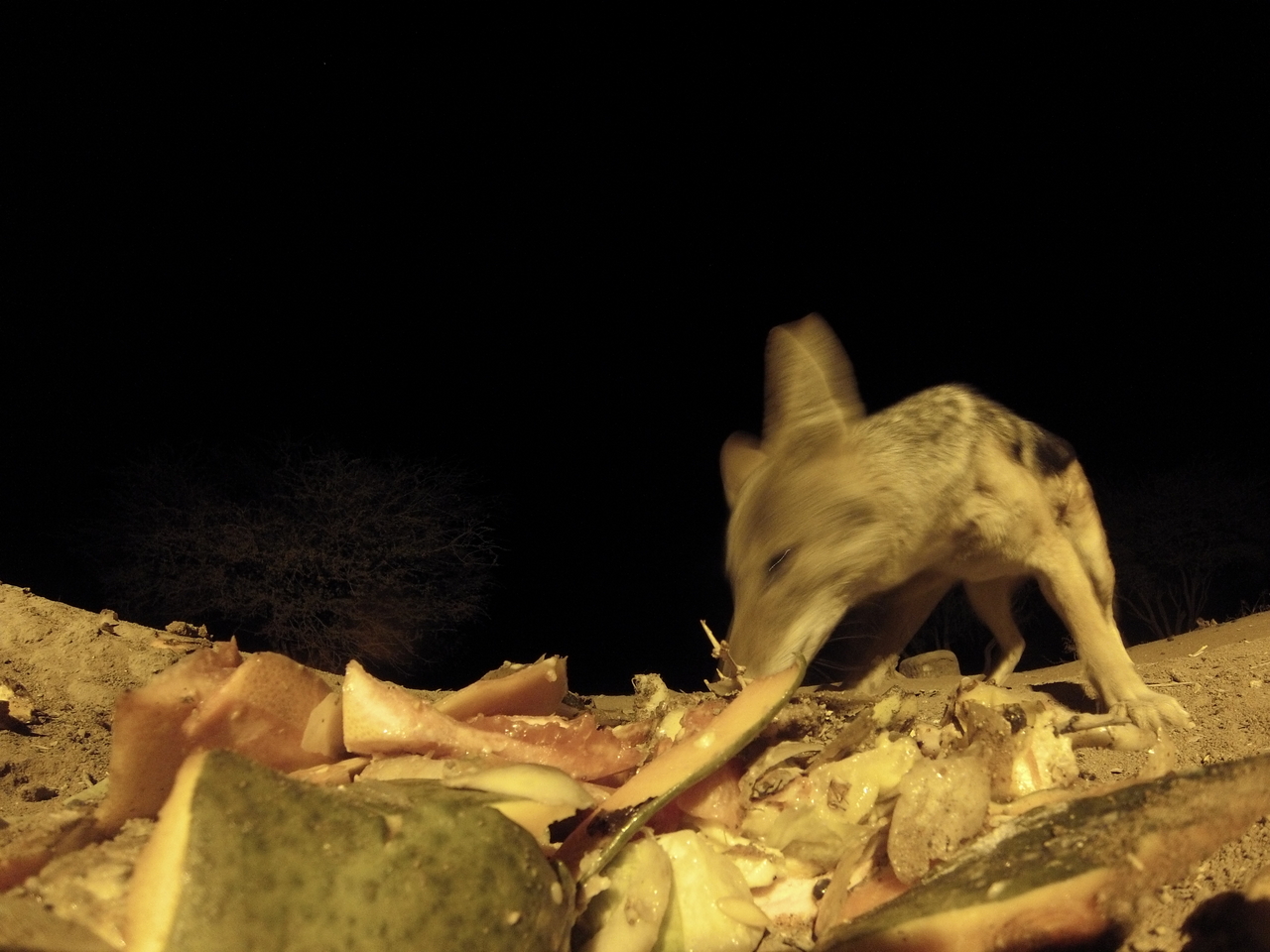 [9676] 2016_06_23_18_42_30_Africa_Hero3-Silver_Edition_IMG__00430.jpg