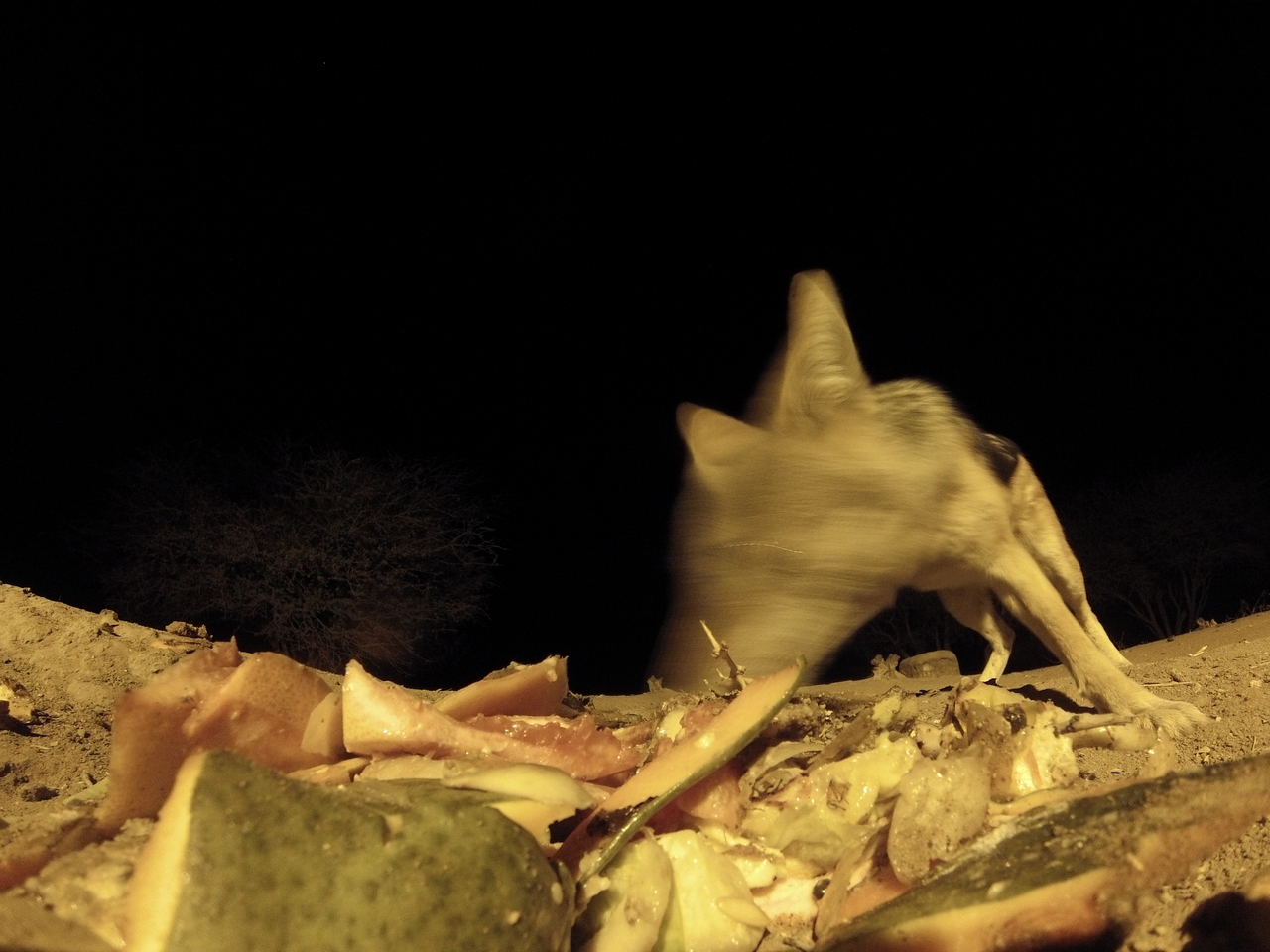 [9678] 2016_06_23_18_42_32_Africa_Hero3-Silver_Edition_IMG__00431.jpg