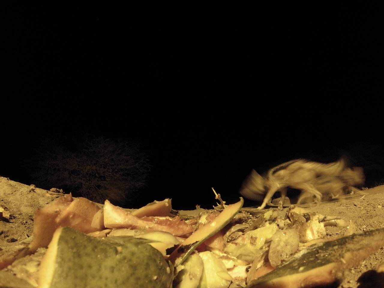 [9680] 2016_06_23_18_42_36_Africa_Hero3-Silver_Edition_IMG__00432.jpg