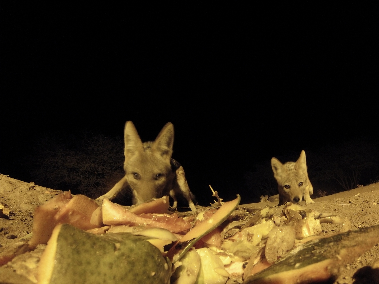 [9686] 2016_06_23_18_42_42_Africa_Hero3-Silver_Edition_IMG__00435.jpg