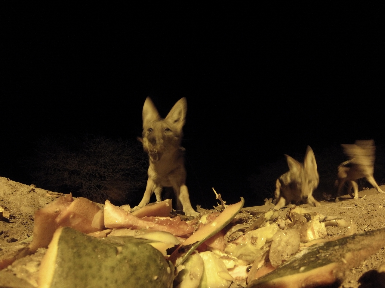 [9693] 2016_06_23_18_42_50_Africa_Hero3-Silver_Edition_IMG__00886.jpg