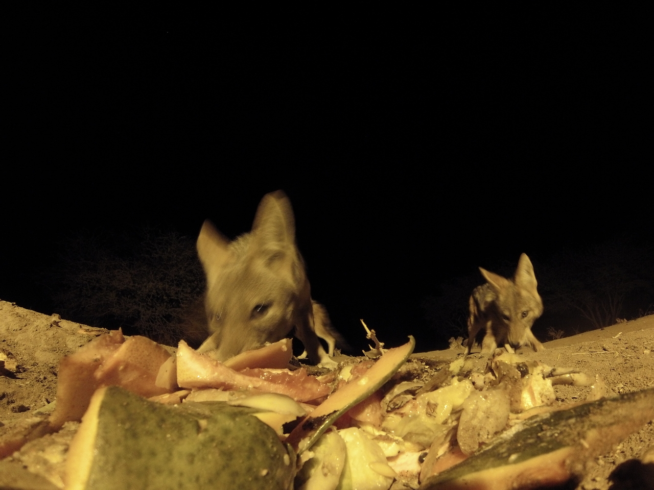 [9694] 2016_06_23_18_42_52_Africa_Hero3-Silver_Edition_IMG__00439.jpg