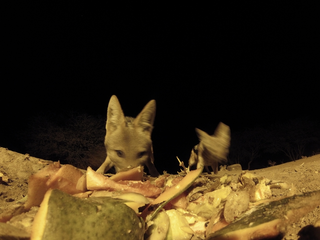 [9699] 2016_06_23_18_42_58_Africa_Hero3-Silver_Edition_IMG__00889.jpg