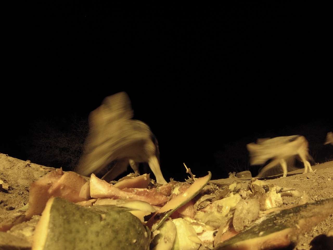 [9703] 2016_06_23_18_43_04_Africa_Hero3-Silver_Edition_IMG__00891.jpg