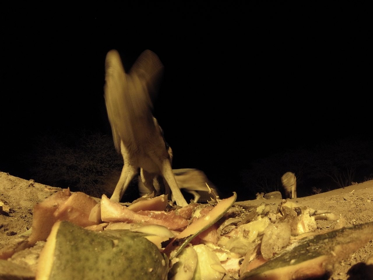 [9704] 2016_06_23_18_43_06_Africa_Hero3-Silver_Edition_IMG__00444.jpg