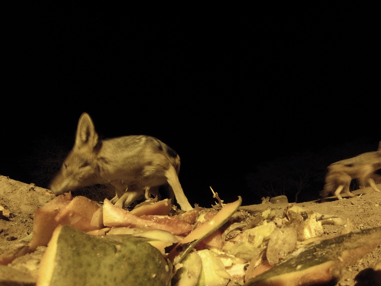 [9707] 2016_06_23_18_43_08_Africa_Hero3-Silver_Edition_IMG__00893.jpg