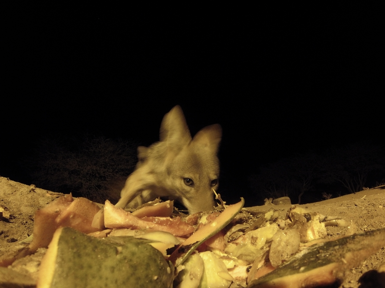 [9709] 2016_06_23_18_43_10_Africa_Hero3-Silver_Edition_IMG__00894.jpg