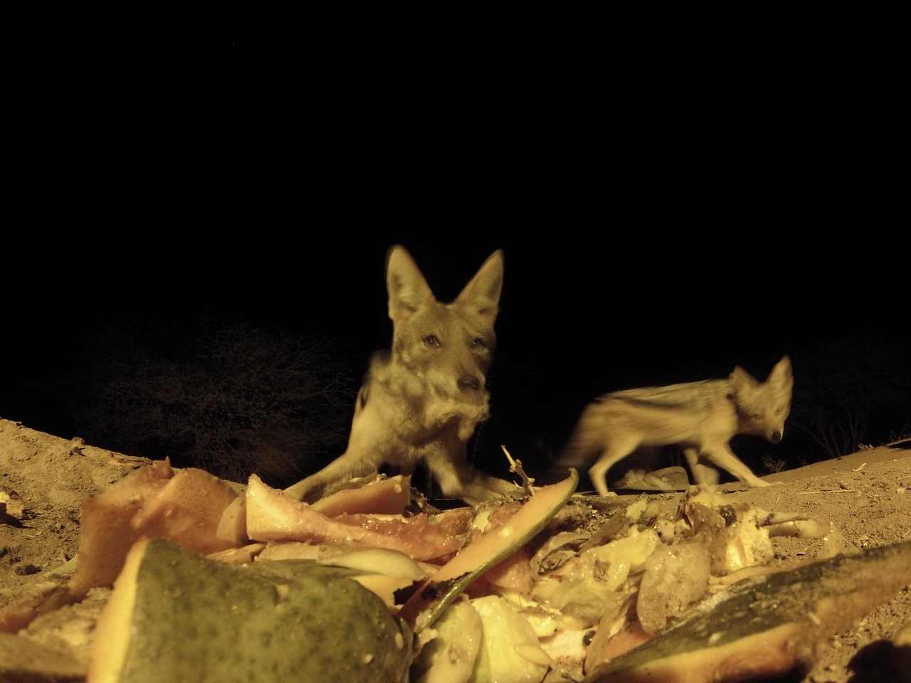 [9711] 2016_06_23_18_43_12_Africa_Hero3-Silver_Edition_IMG__00895.jpg